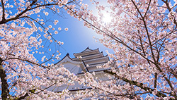 A Sake-Filled Day in Aizu Wakamatsu
