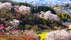 Exploring the Sights and Breweries of Nakadori