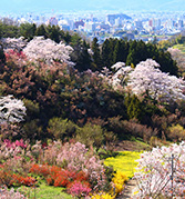 Exploring the Sights and Breweries of Nakadori