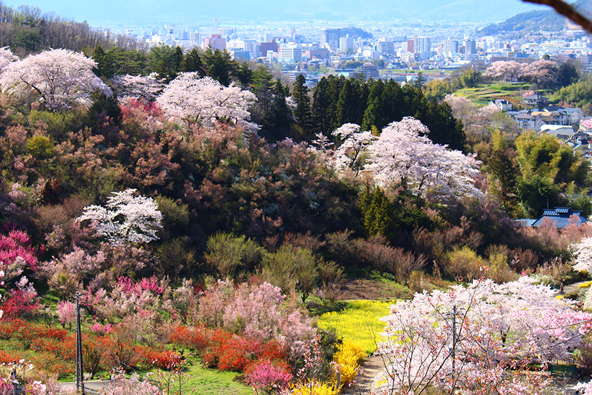 Hanamiyama Park from the top of the mountain