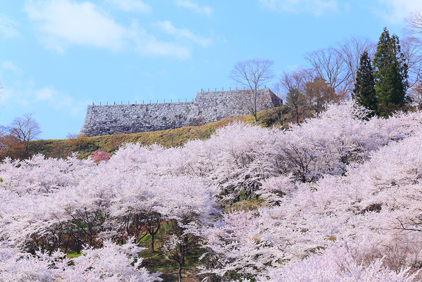 Kasumigi Castle