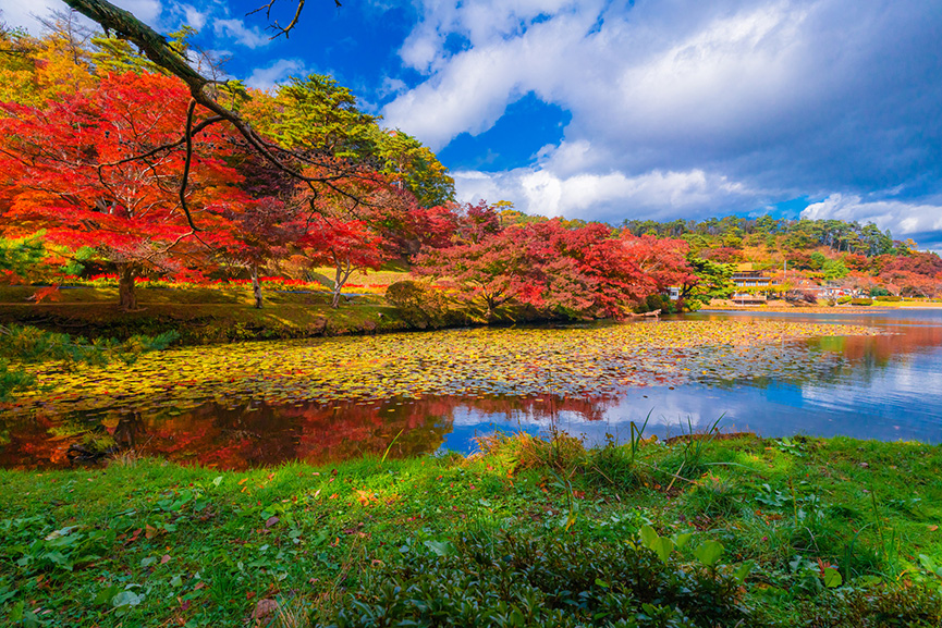 Autumn pattern of Janohana, the hometown of flowers and history